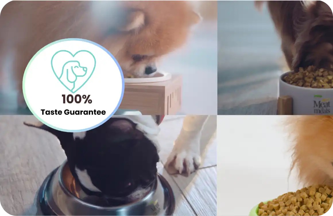 100% Taste Guarantee