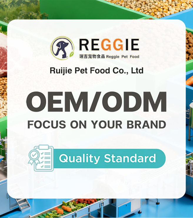 OEM/ODM FOCUS ON YOUR BRAND