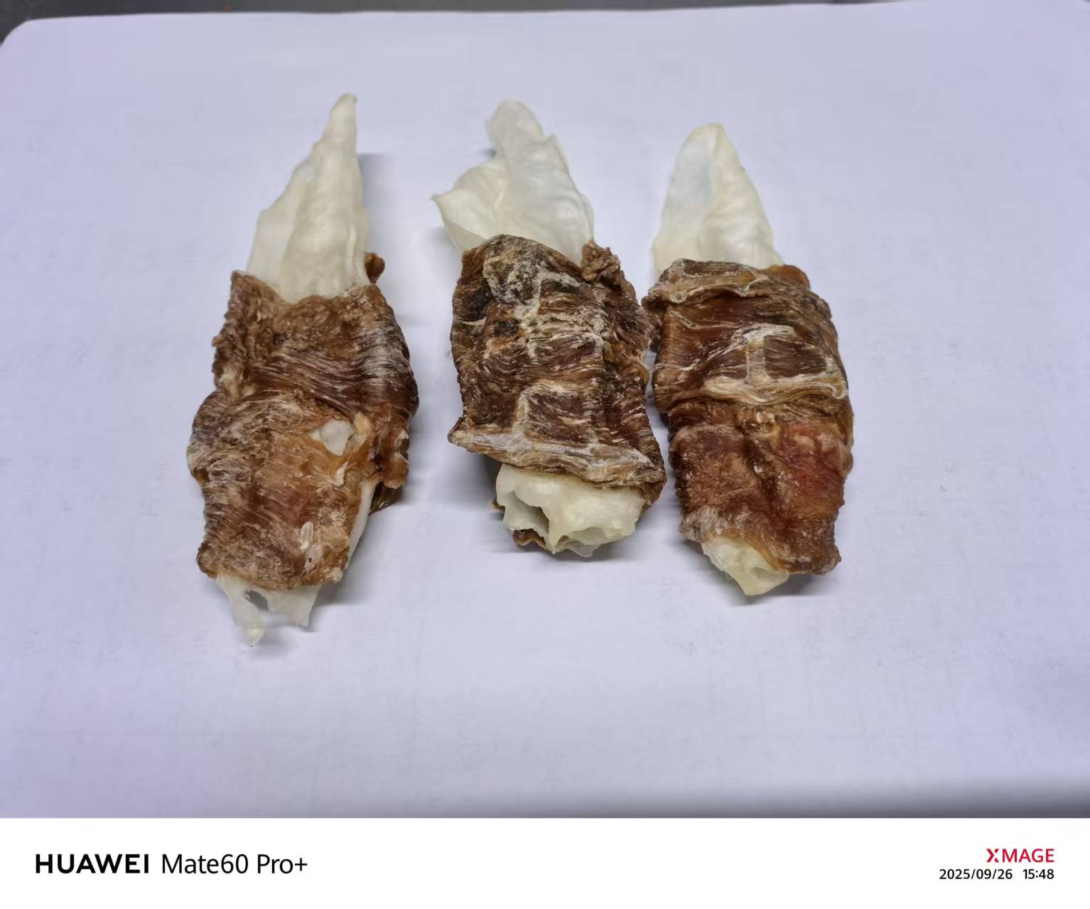 Pure Rabbit Ear with Duck