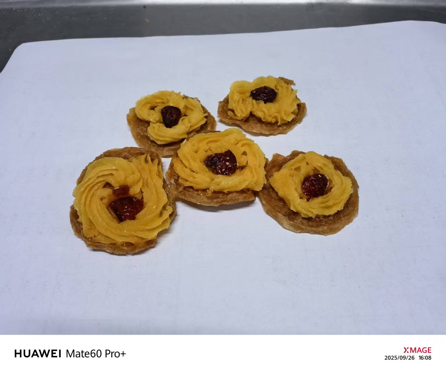 Pure Sweet Patato and Cranberry Ring with Chicken