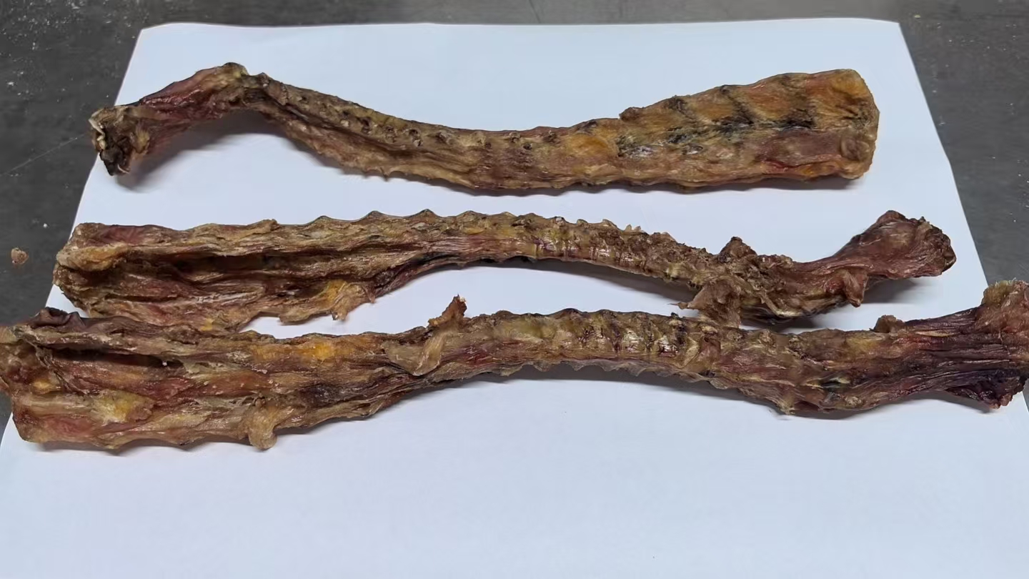 Pure Rabbit  Spine  Stick