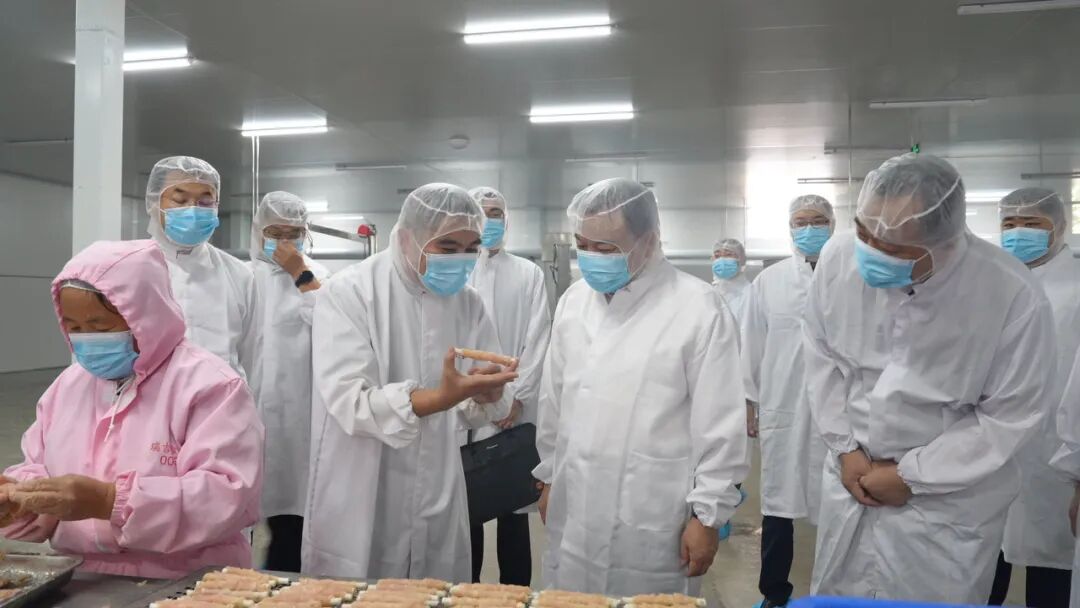 Chiping District CPC Party Secretary Mr. Sun Rongjun conducted an on-site investigation at our factory