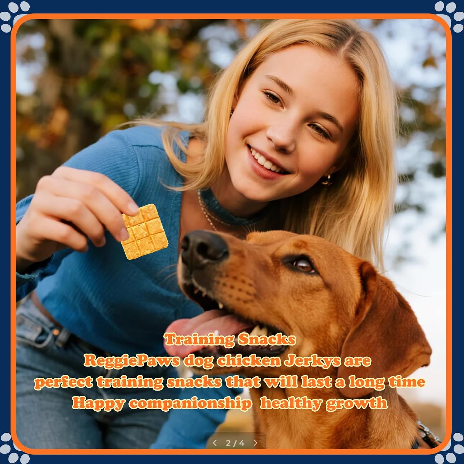 Summer Dog Walking 101: How to Dodge the Heat Trap 